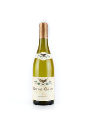 gros plan d'une bouteille de vin sur fond blanc