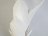 un vase blanc posé sur une table en bois près d'un mur