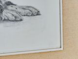 a drawing of a dog laying down on the floor
