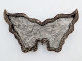 an image of a piece of wood that looks like a butterfly