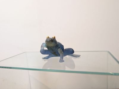 a frog sitting on a glass shelf with a crown on it ' s head