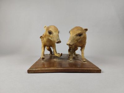 deux figurines représentant deux sangliers, posées sur un socle en bois