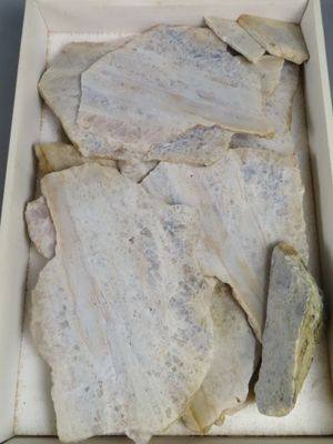 une boîte de poisson posée sur une table