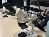 un microscope posé sur une table