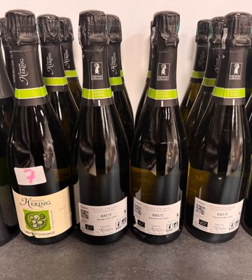 de nombreuses bouteilles de vin alignées sur le comptoir
