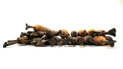 a pile of small wooden objects on a white surface