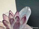 a purple flower that is sitting on top of a table
