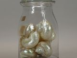 a glass jar with shells in it on a table