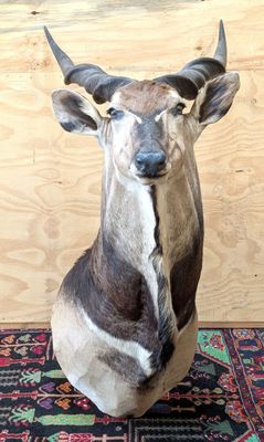 une statue représentant une antilope assise sur un tapis