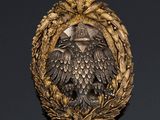 a close up of a badge with an eagle on it