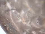 a close up of a metal plate with a small amount of dirt on it