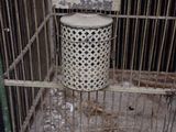 a trash can in a cage with a sign on it