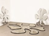 deux miroirs posés par terre l'un à côté de l'autre