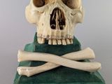 a skull and crossbones on top of a book