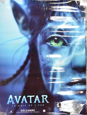 the poster for the movie avatar is on display in the store