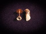 a pair of gold earrings with a white tooth and a diamond