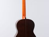 a close up of a guitar on a white background