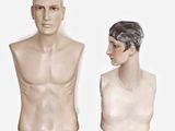 deux têtes de mannequin, l'une d'homme et l'autre de femme, sur fond blanc