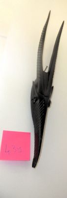 a picture of a goat mask on a wall