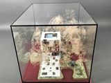 a glass case with a model of a house inside of it