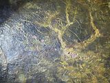 a close up of a painting of a tree in the water