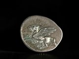a close up of a silver coin with a bird on it