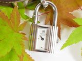 a small silver clock on a chain with leaves around it