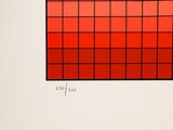 a drawing of a red square with a grid of squares on it