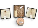 three framed pictures of books and a clock on a white surface