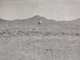 black and white photograph of a person standing in a field with a mountain in the background