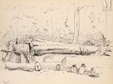 dessin représentant un homme debout sur une bûche dans les bois