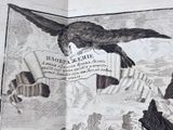 a black and white drawing of a bird with a banner on it