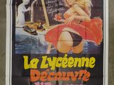 french movie poster for la liceme desprive l ' amour