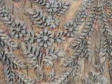 a close up of a tree trunk with a bunch of pine cones on it