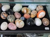 a glass display case filled with different types of rocks