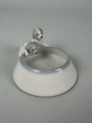 un petit chien assis sur un bol blanc