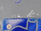 a picture of a glass plate with a cat on it