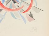 a drawing of a bird with a red circle on it ' s back