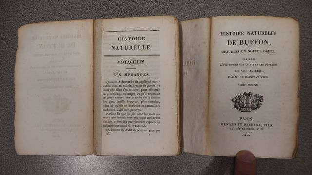 Histoire naturelle de Buffon 1825-1826 « Oiseaux » « Quadripèdes ...
