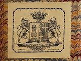 a picture of a tapestry with a picture of a lion on it
