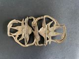 an image of a pair of shoes that are on a table