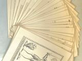un lot de cartes posées sur une table