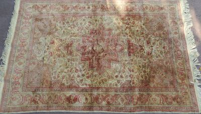 an image of a rug on the ground with a cat laying on it