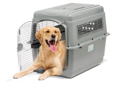 Beeztees Skykennel 5 IATA Caisse de Transport pour Chien de …