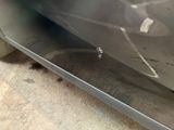 a bug that is sitting on the side of a car
