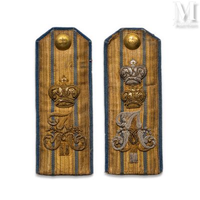 pair of military badges with gold and blue stripes on a white background