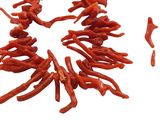 a lot of red corals on a white surface