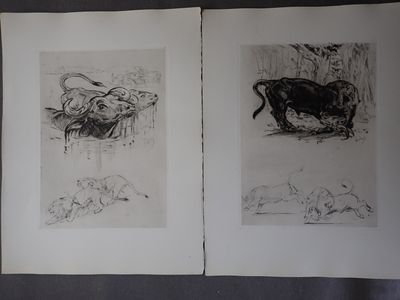 deux dessins en noir et blanc représentant un taureau et une vache