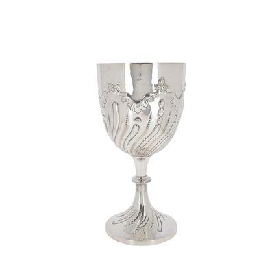 a silver goblet that is on a white background
