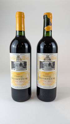 deux bouteilles de vin posées l'une à côté de l'autre sur une surface blanche